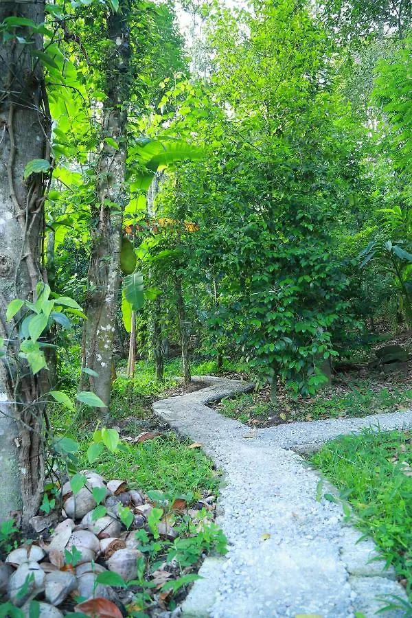 Philip Mary Farm Stay Thekkady