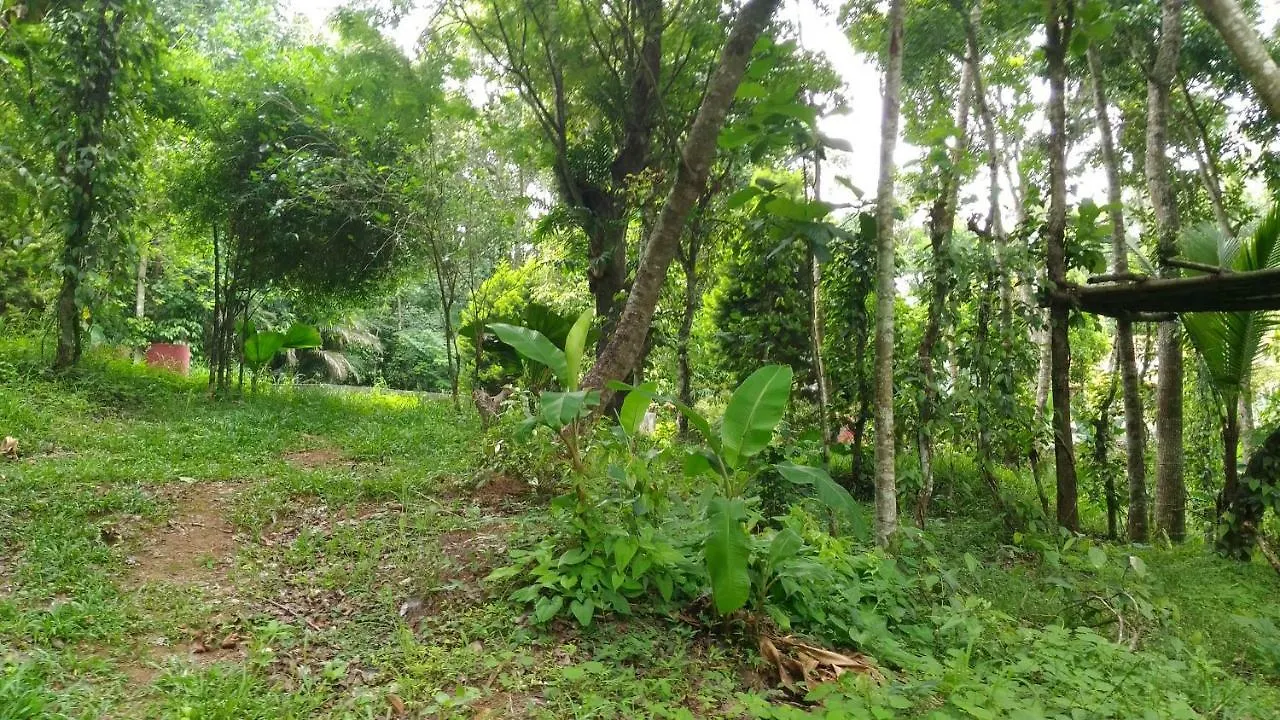 Philip Mary Farm Stay Thekkady